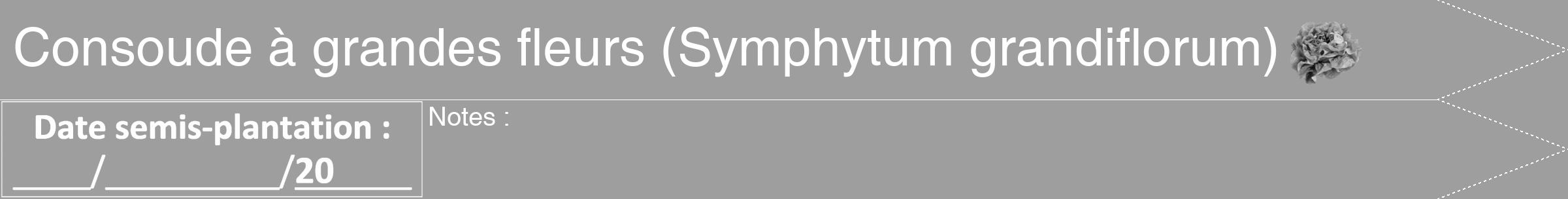 Étiquette de : Symphytum grandiflorum - format b - style blanche23hel avec comestibilité simplifiée