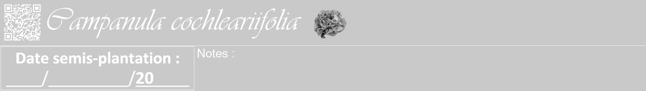 Étiquette de : Campanula cochleariifolia - format a - style blanche54viv avec qrcode et comestibilité simplifiée