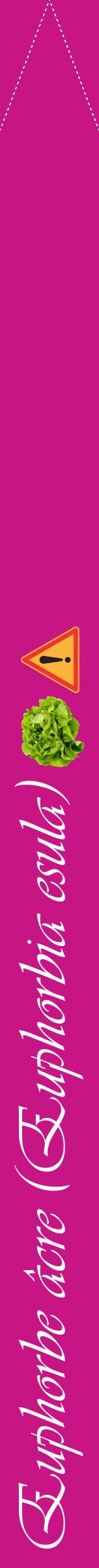 Étiquette de : Euphorbia esula - format b - style blanche45viv avec comestibilité simplifiée
