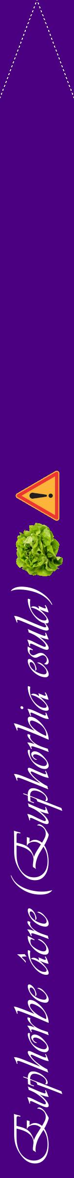 Étiquette de : Euphorbia esula - format b - style blanche47viv avec comestibilité simplifiée
