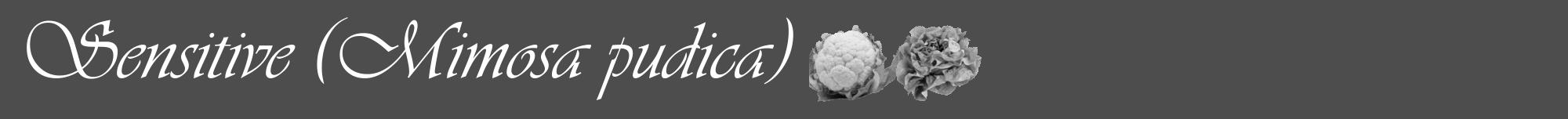 Étiquette de : Mimosa pudica - format a - style blanche28viv avec comestibilité simplifiée