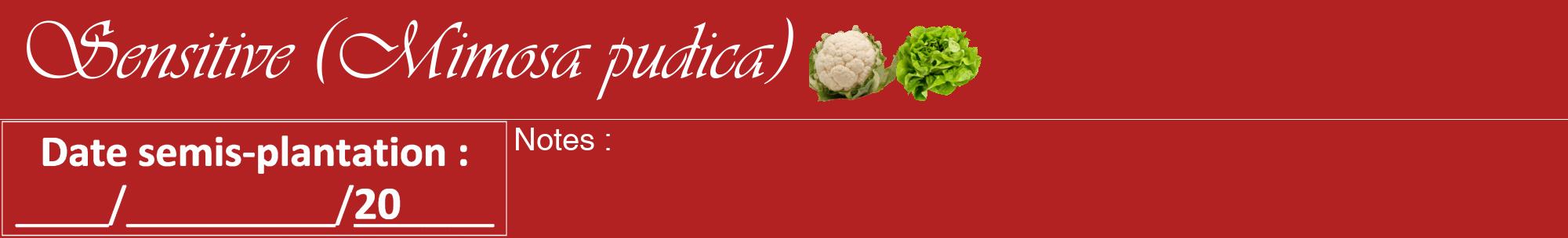 Étiquette de : Mimosa pudica - format a - style blanche28viv avec comestibilité simplifiée
