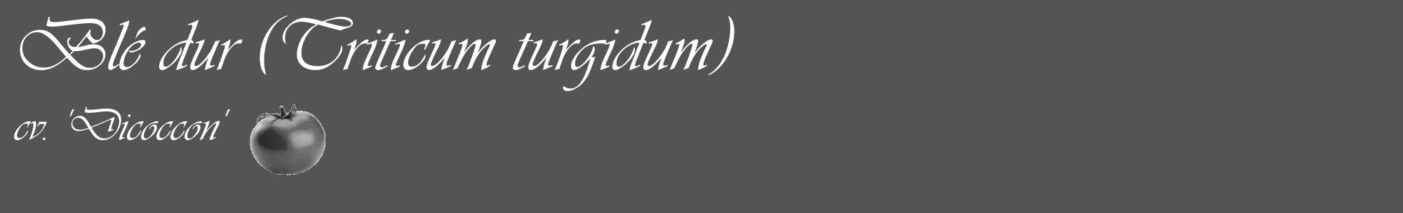 Étiquette de : Triticum turgidum cv. 'Dicoccon' - format c - style blanche36_basique_basiqueviv avec comestibilité simplifiée