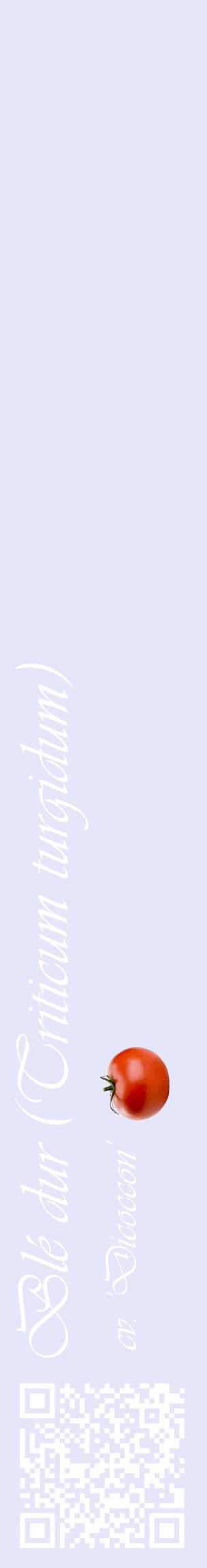 Étiquette de : Triticum turgidum cv. 'Dicoccon' - format c - style blanche55_basiqueviv avec qrcode et comestibilité simplifiée