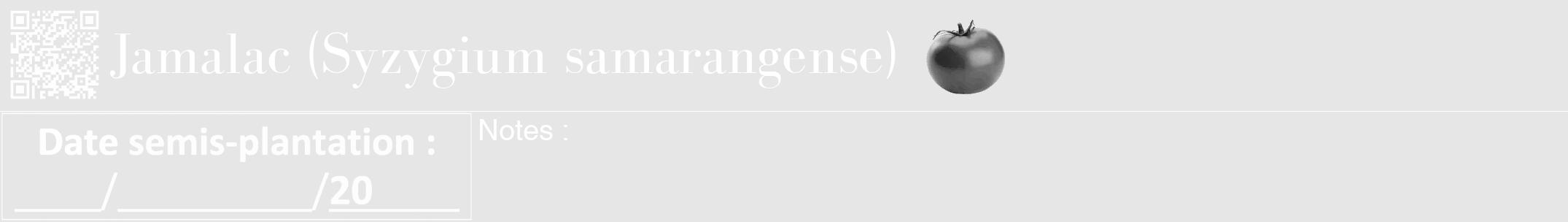 Étiquette de : Syzygium samarangense - format a - style blanche18bod avec qrcode et comestibilité simplifiée