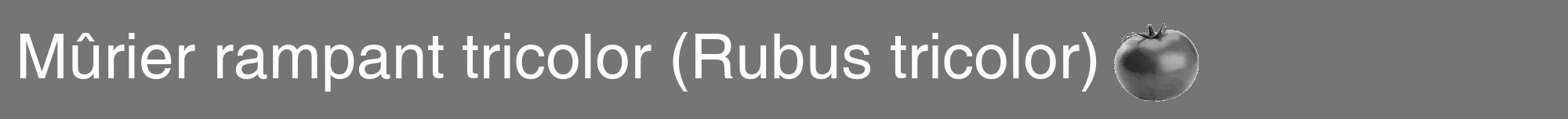 Étiquette de : Rubus tricolor - format a - style blanche5hel avec comestibilité simplifiée