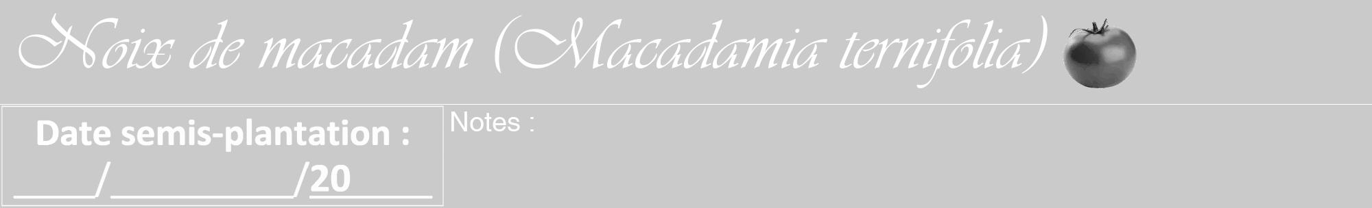 Étiquette de : Macadamia ternifolia - format a - style blanche21viv avec comestibilité simplifiée