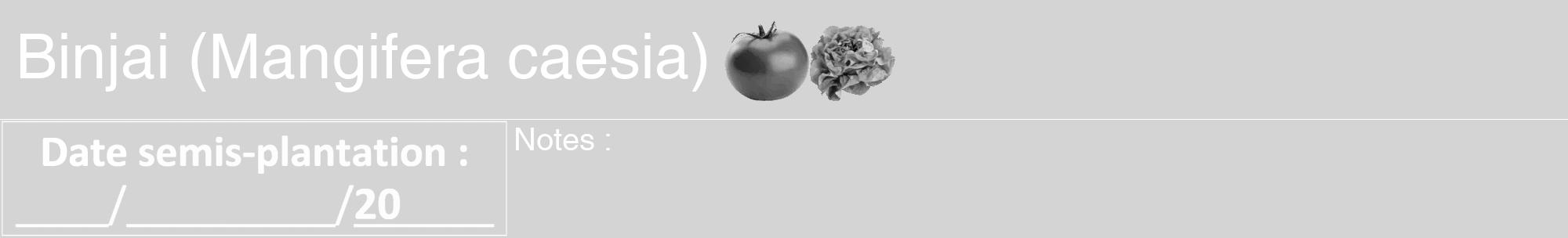 Étiquette de : Mangifera caesia - format a - style blanche40hel avec comestibilité simplifiée