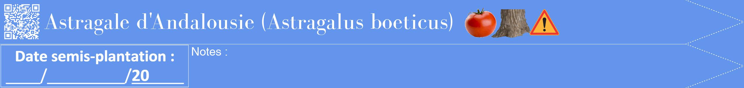 Étiquette de : Astragalus boeticus - format b - style blanche4bod avec qrcode et comestibilité simplifiée