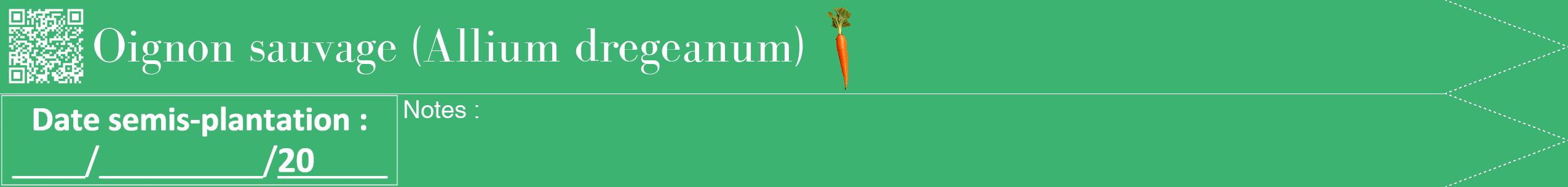 Étiquette de : Allium dregeanum - format b - style blanche12bod avec qrcode et comestibilité simplifiée