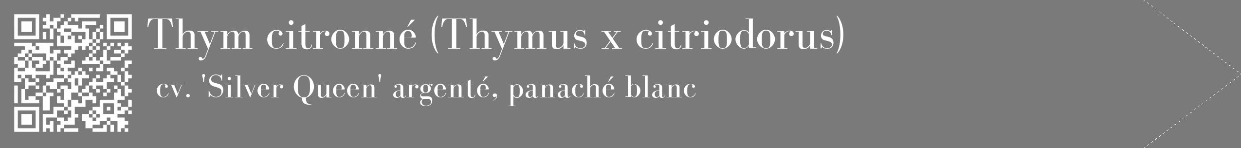 Étiquette de : Thymus x citriodorus cv. 'Silver Queen' - format c - style blanche3_simple_simplebod avec qrcode et comestibilité