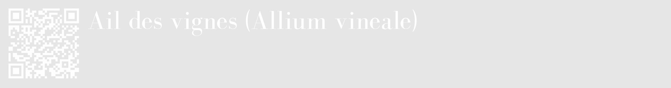 Étiquette de : Allium vineale - format c - style blanche18_basique_basiquebod avec qrcode et comestibilité