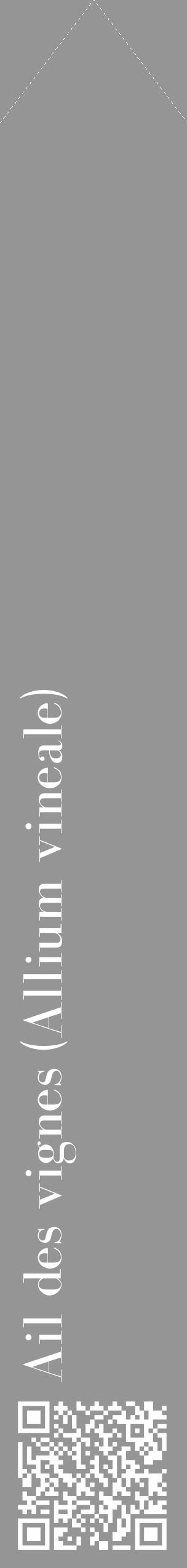 Étiquette de : Allium vineale - format c - style blanche16_simple_simplebod avec qrcode et comestibilité - position verticale