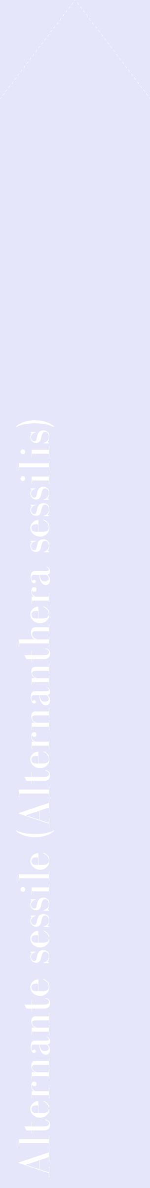 Étiquette de : Alternanthera sessilis - format c - style blanche55_simplebod avec comestibilité