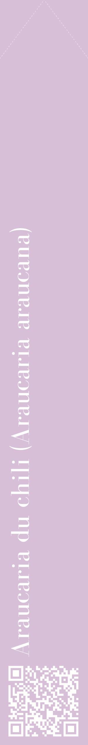 Étiquette de : Araucaria araucana - format c - style blanche54_simplebod avec qrcode et comestibilité