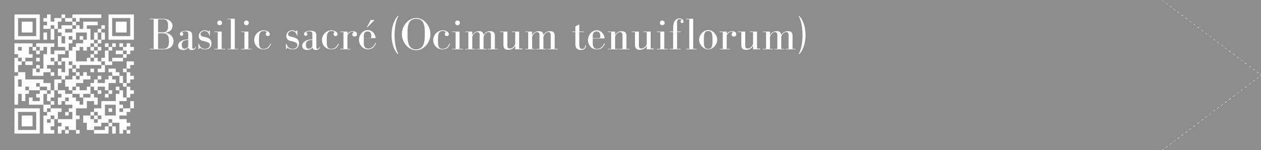 Étiquette de : Ocimum tenuiflorum - format c - style blanche2_simple_simplebod avec qrcode et comestibilité