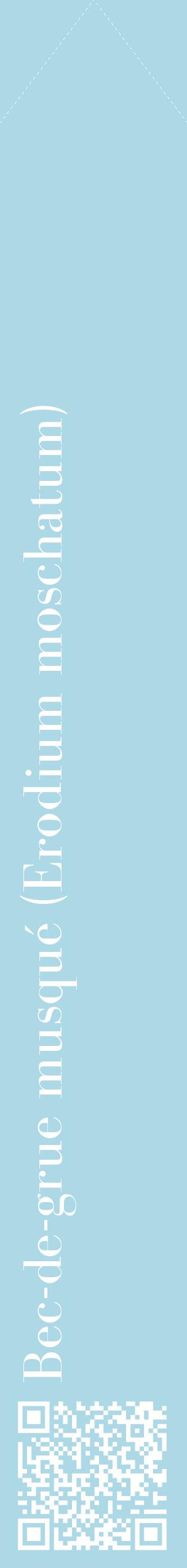 Étiquette de : Erodium moschatum - format c - style blanche0_simplebod avec qrcode et comestibilité