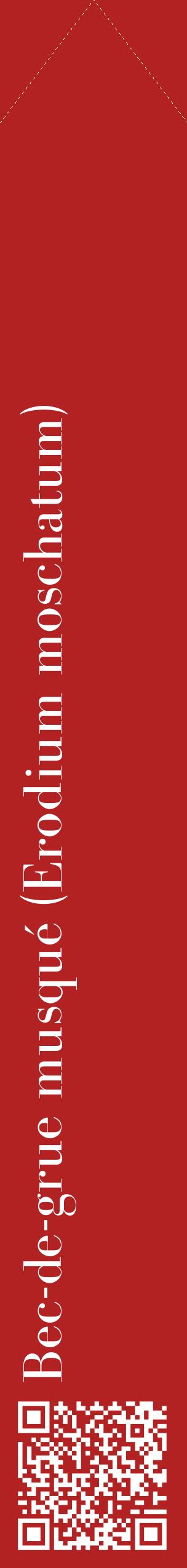Étiquette de : Erodium moschatum - format c - style blanche28_simplebod avec qrcode et comestibilité