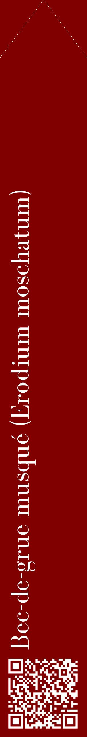 Étiquette de : Erodium moschatum - format c - style blanche29_simplebod avec qrcode et comestibilité