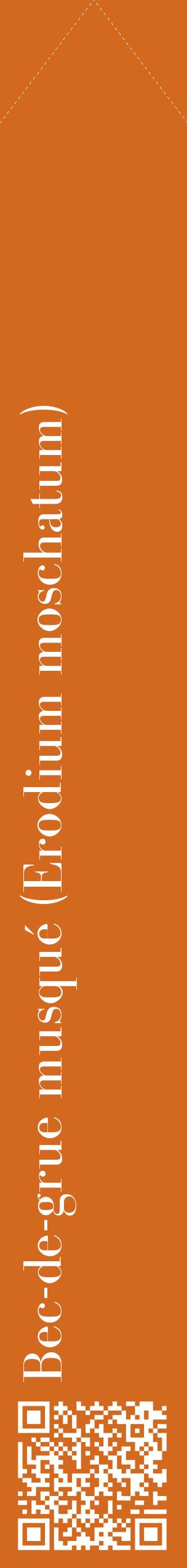 Étiquette de : Erodium moschatum - format c - style blanche31_simplebod avec qrcode et comestibilité