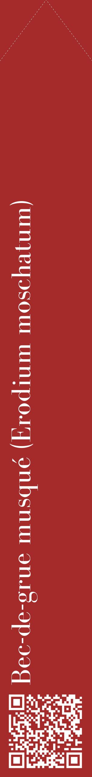 Étiquette de : Erodium moschatum - format c - style blanche33_simplebod avec qrcode et comestibilité