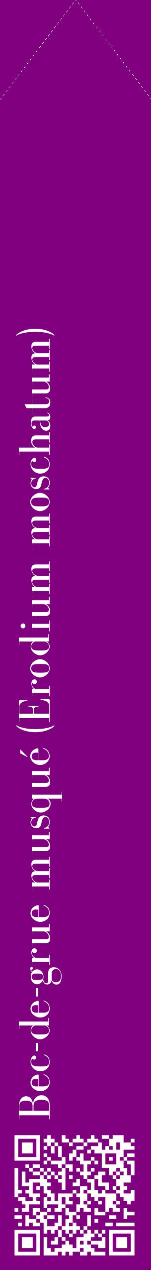 Étiquette de : Erodium moschatum - format c - style blanche46_simplebod avec qrcode et comestibilité