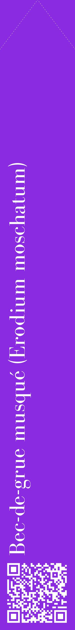 Étiquette de : Erodium moschatum - format c - style blanche49_simplebod avec qrcode et comestibilité