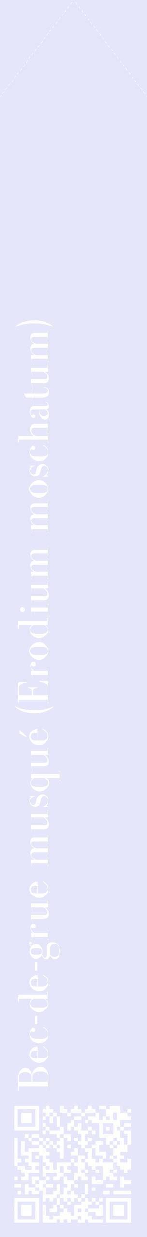 Étiquette de : Erodium moschatum - format c - style blanche55_simplebod avec qrcode et comestibilité