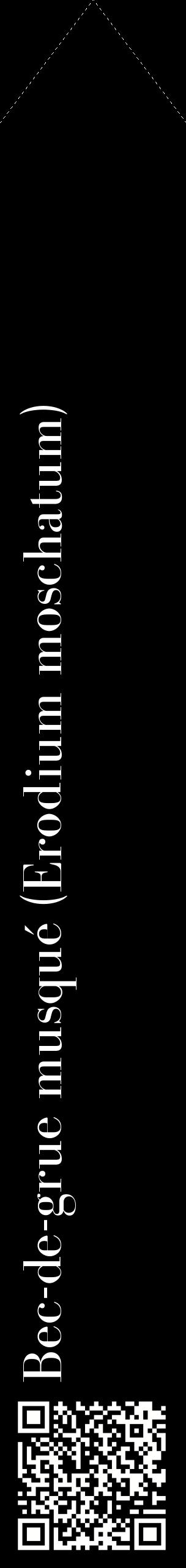Étiquette de : Erodium moschatum - format c - style blanche59_simplebod avec qrcode et comestibilité