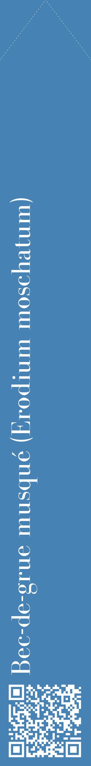 Étiquette de : Erodium moschatum - format c - style blanche5_simplebod avec qrcode et comestibilité