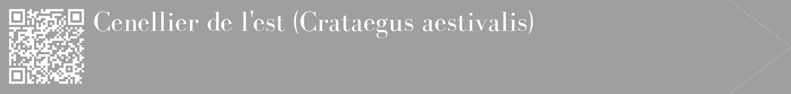 Étiquette de : Crataegus aestivalis - format c - style blanche24_simple_simplebod avec qrcode et comestibilité