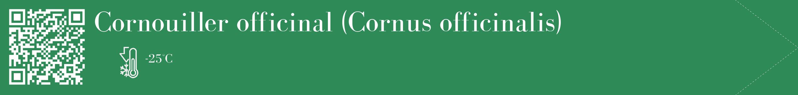 Étiquette de : Cornus officinalis - format c - style blanche11_simple_simplebod avec qrcode et comestibilité