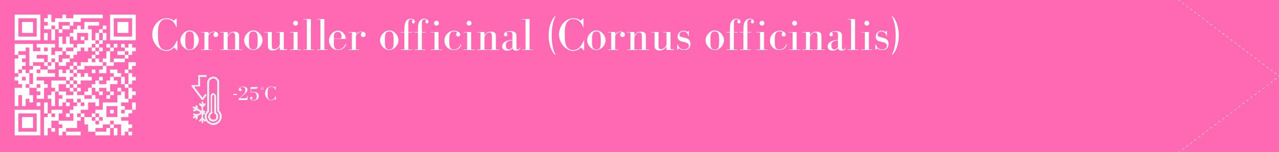 Étiquette de : Cornus officinalis - format c - style blanche42_simple_simplebod avec qrcode et comestibilité