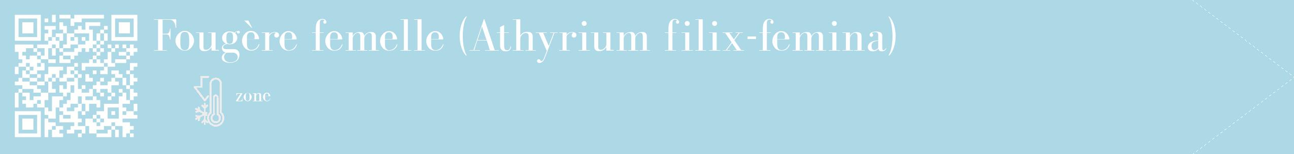 Étiquette de : Athyrium filix-femina - format c - style blanche0_simple_simplebod avec qrcode et comestibilité