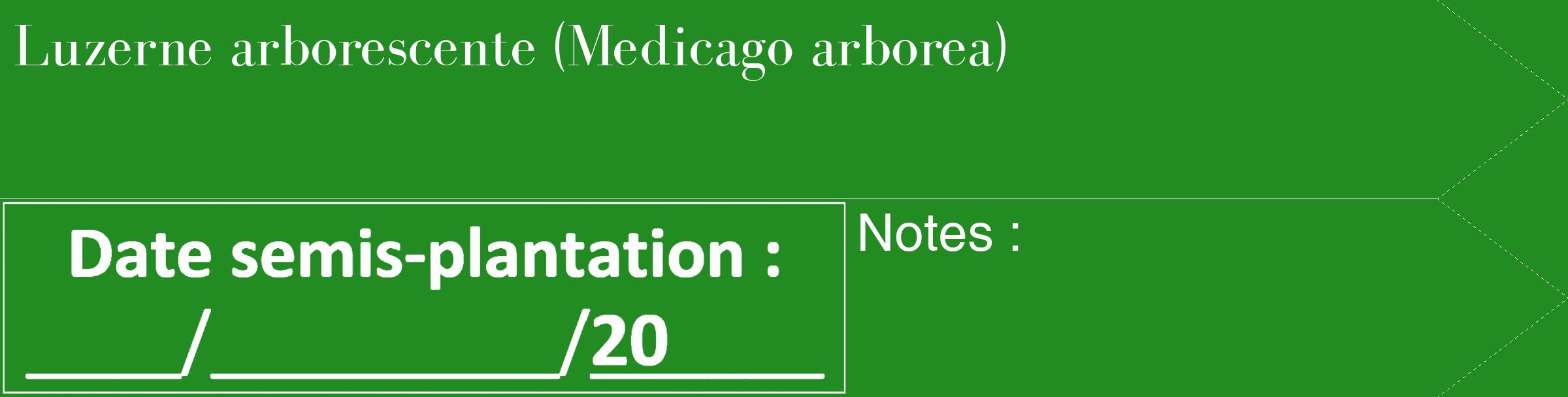 Étiquette de : Medicago arborea - format c - style blanche10_simple_simplebod avec comestibilité