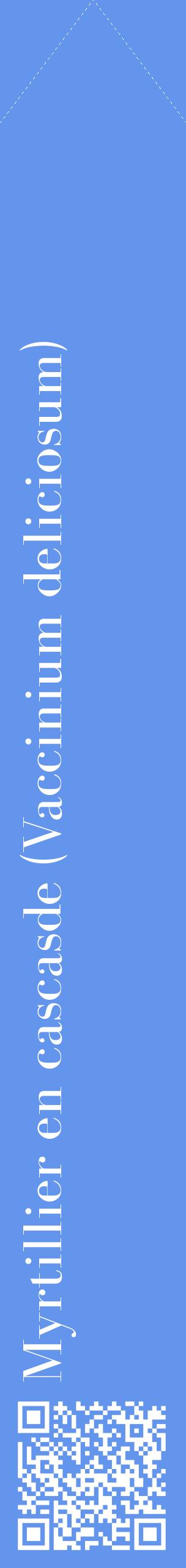 Étiquette de : Vaccinium deliciosum - format c - style blanche4_simplebod avec qrcode et comestibilité