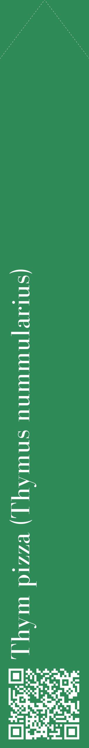 Étiquette de : Thymus nummularius - format c - style blanche11_simplebod avec qrcode et comestibilité