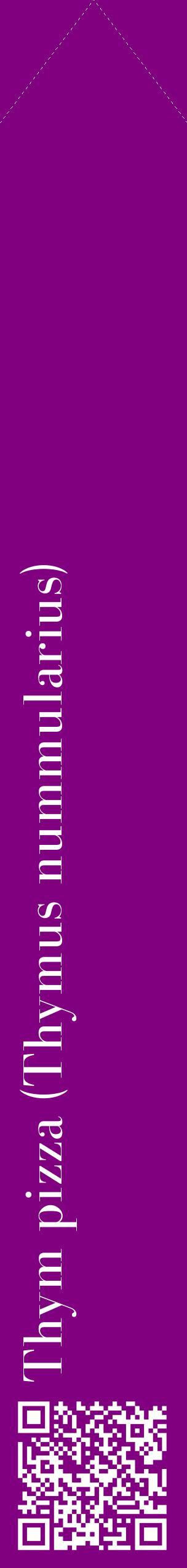 Étiquette de : Thymus nummularius - format c - style blanche46_simplebod avec qrcode et comestibilité