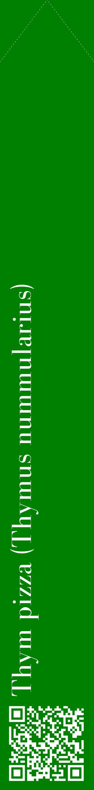 Étiquette de : Thymus nummularius - format c - style blanche9_simplebod avec qrcode et comestibilité