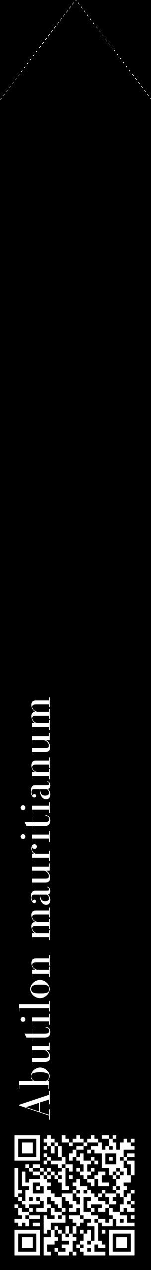 Étiquette de : Abutilon mauritianum - format c - style blanche59_simple_simplebod avec qrcode et comestibilité - position verticale