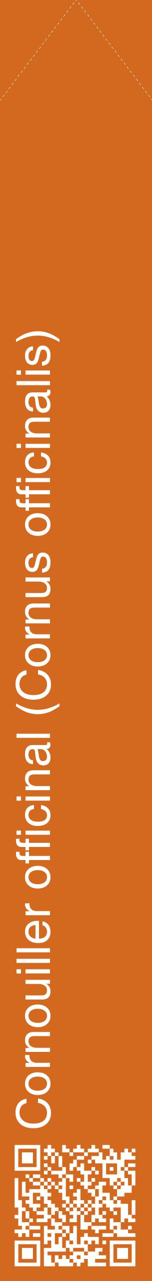 Étiquette de : Cornus officinalis - format c - style blanche31_simplehel avec qrcode et comestibilité