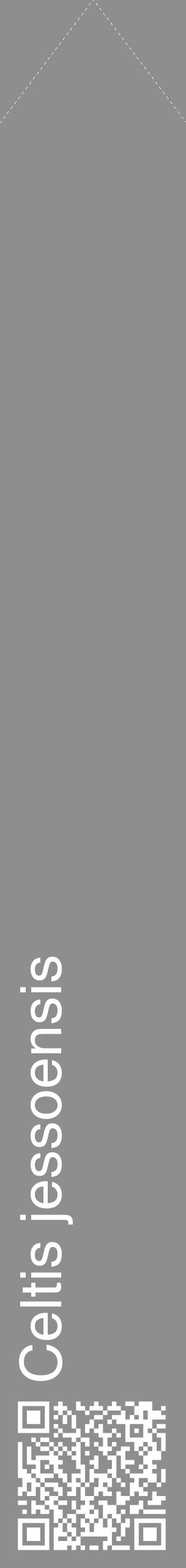 Étiquette de : Celtis jessoensis - format c - style blanche25_simple_simplehel avec qrcode et comestibilité - position verticale