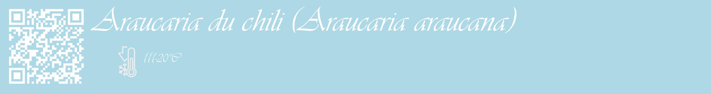 Étiquette de : Araucaria araucana - format c - style blanche0_basique_basiqueviv avec qrcode et comestibilité