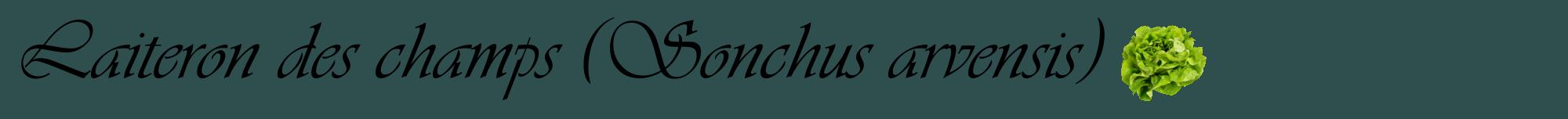 Étiquette de : Sonchus arvensis - format a - style noire58basiqueviv avec comestibilité simplifiée