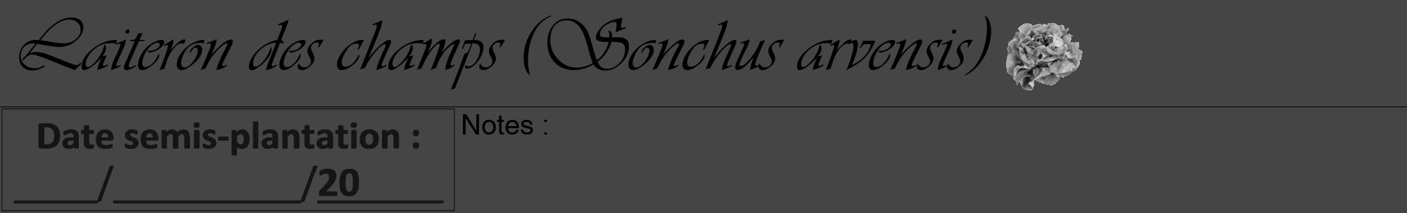 Étiquette de : Sonchus arvensis - format a - style noire58basiqueviv avec comestibilité simplifiée