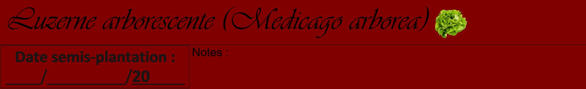 Étiquette de : Medicago arborea - format a - style noire29viv avec comestibilité simplifiée