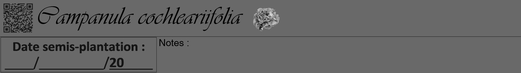 Étiquette de : Campanula cochleariifolia - format a - style noire11viv avec qrcode et comestibilité simplifiée