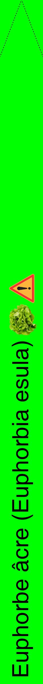 Étiquette de : Euphorbia esula - format b - style noire16hel avec comestibilité simplifiée