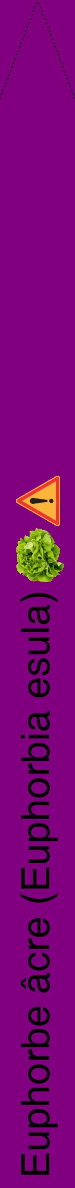 Étiquette de : Euphorbia esula - format b - style noire46hel avec comestibilité simplifiée - position verticale
