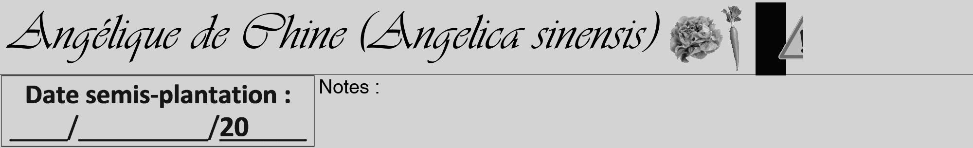 Étiquette de : Angelica sinensis - format a - style noire56viv avec comestibilité simplifiée